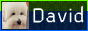 davidpineiro.xyz